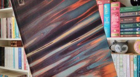 Resumo do Livro Tudo é Rio de Carla Madeira