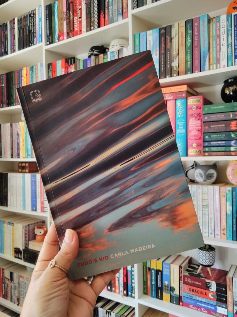 Resumo do Livro Tudo é Rio de Carla Madeira